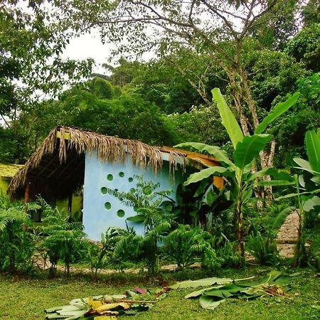 Casa Caracol Hotell San Luis Potosí Eksteriør bilde
